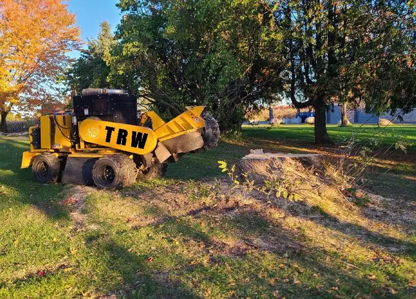 Tree Stump Removal Johnson City, TN